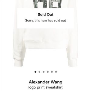 Alexander Wang sweatshirt